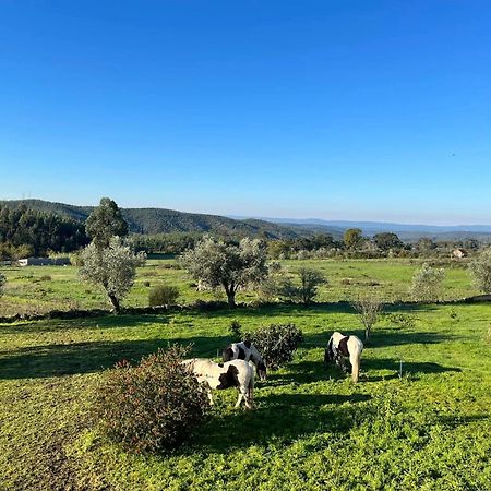 Quinta Da Barroca Do Cabo Bed and Breakfast Ázere Esterno foto