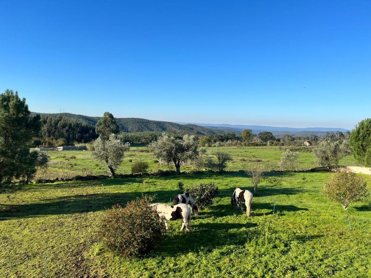 Quinta Da Barroca Do Cabo Bed and Breakfast Ázere Esterno foto